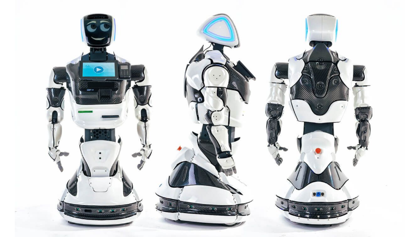 Аренда промо роботов